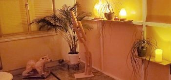 studio - k-wellness - karussell04